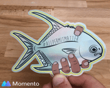 All Permit Matter Sticker - Accessories